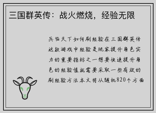 三国群英传：战火燃烧，经验无限