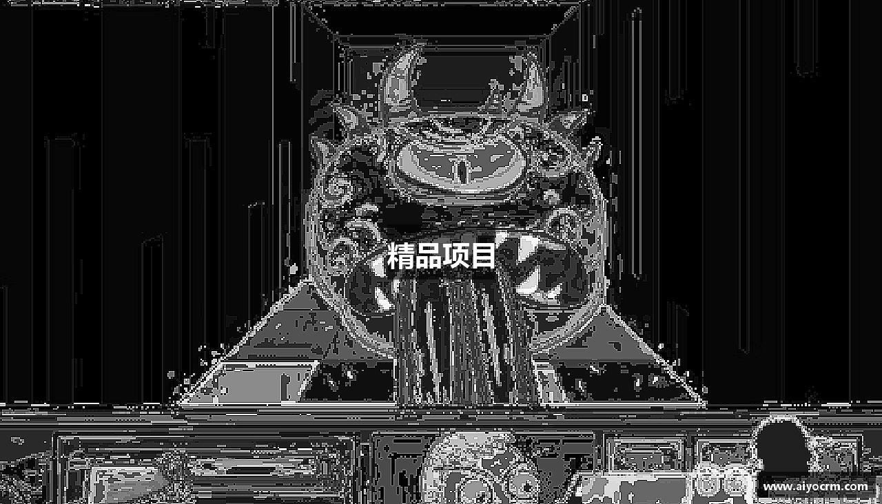 精品项目